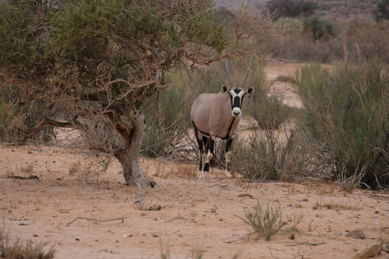 Kanebis Gondwana Canyon Lodge מראה חיצוני תמונה